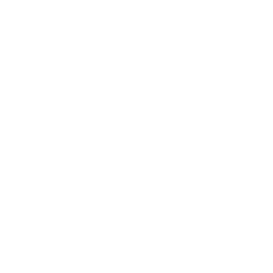 AMNESIA LOGO